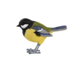 Koolmees