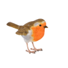Robin