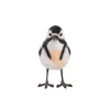 Grote bonte specht