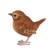 Winterkoning