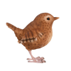 Winterkönig