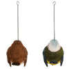 Peanut butter pendant bird