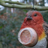 Peanut butter pendant bird