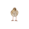 Zanglijster