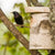 Birdhouse Birch large
