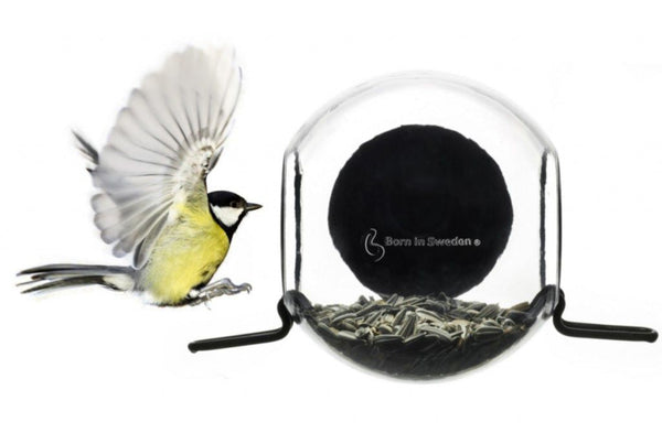 BirdFeeder Raamvoederhuisje – Transparant Vogelvoerhuisje voor op het Raam (15 x 10 x 15 cm)