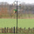 Feeding pole system 
