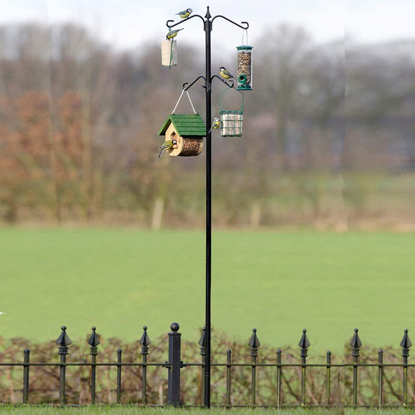 Feeding pole system 