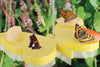 Butterfly feeding bowl