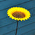 Gardman Birdbath/Feeder Bowl Sunflower on Pin
