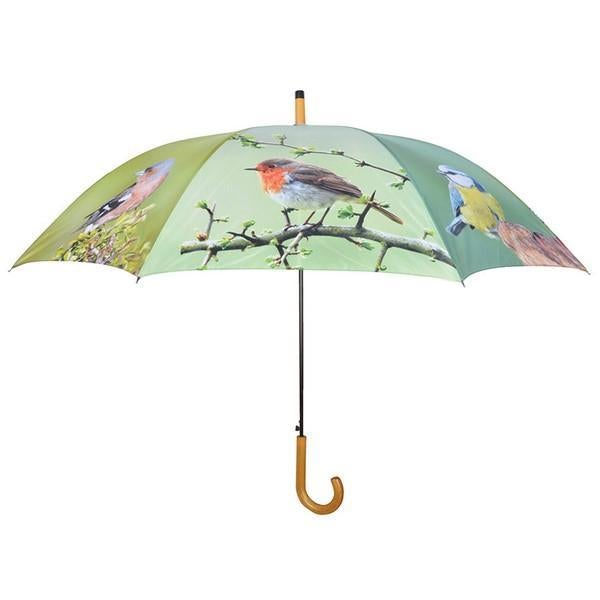 Umbrella birds