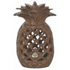 Ananas lantaarn