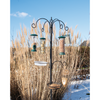 Bird Gift Feeding Station Complete