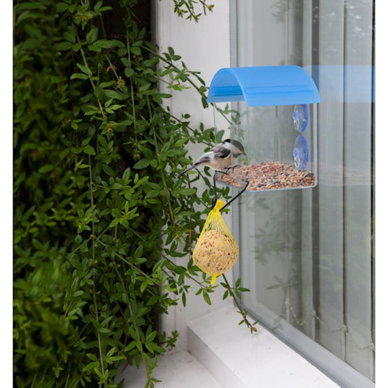 Fenster-Futterspender für Vögel