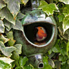 Teapot birdhouse for robin