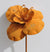 ROST - Rostblume 90.HT95125-0