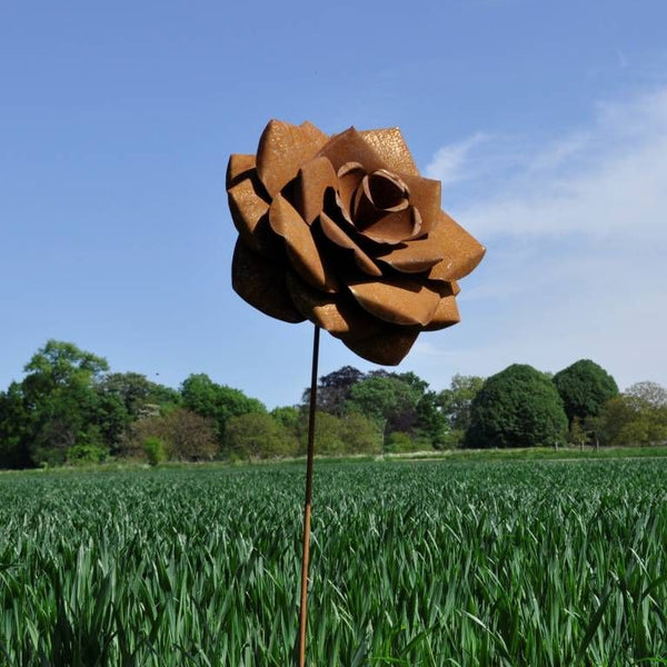 ROST - Rostblume 90.HT95508-0