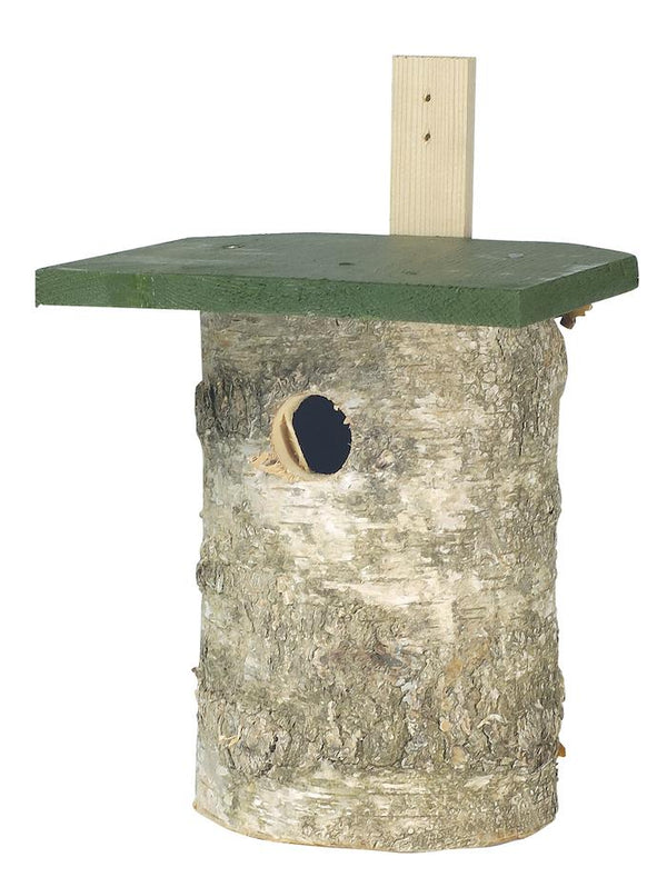 Koolmees berken nestkast