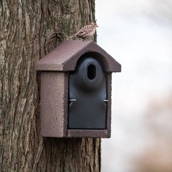 Nest box Bilbao WoodStone brown oval entrance hole 