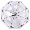 Umbrella transparent 2 sided bird
