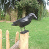 Esschert design - Vogelverschrikker Kraai