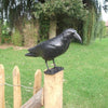 Esschert design - Vogelverschrikker Kraai