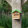 Naturdenkmäler Kombibox Marienkäfer/Biene