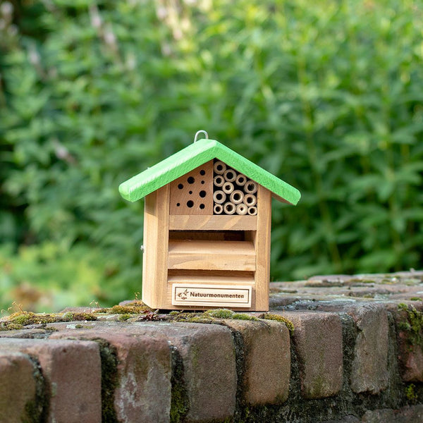 Naturdenkmäler Kombibox Marienkäfer/Biene