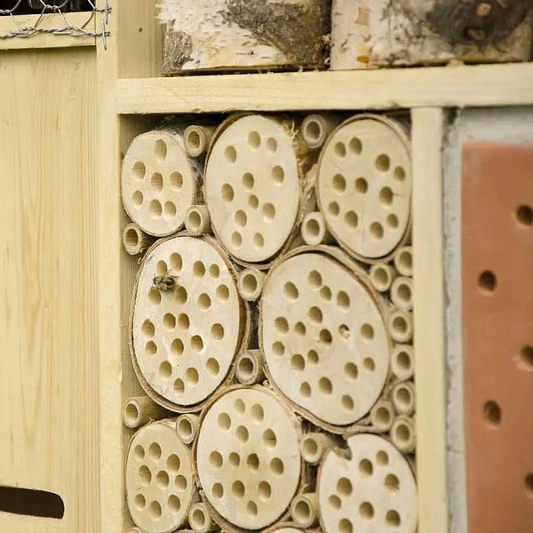Insektenhotel Korsika