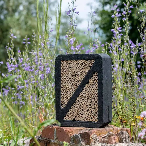 Salina insect hotel black 