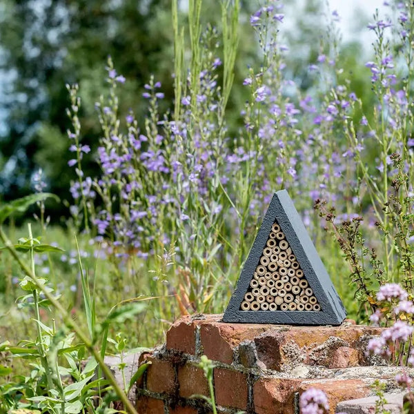 Culebra insect hotel 
