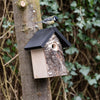 Bird protection Nest box Kirkenes 28mm