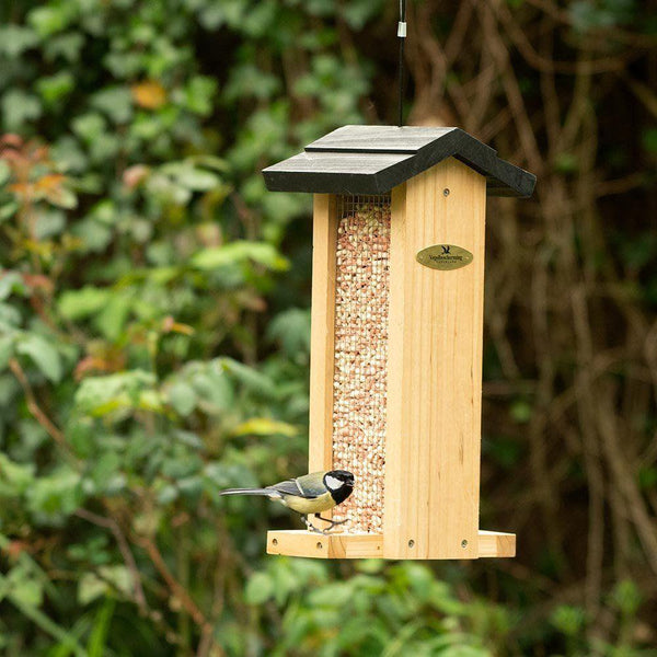 Bird Protection - Bird House Aalborg 