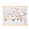 Wall poster Wadden birds