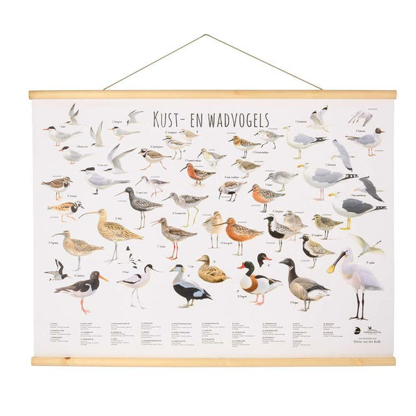 Wall poster Wadden birds