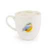 Mug Nuthatch