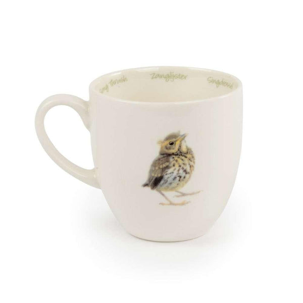 Mug Song Thrush