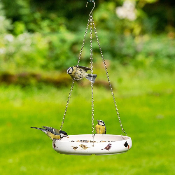 Futternapf für Gartenvögel - Elwin van der Kolk