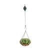 Hanging basket lift