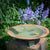 Echoes Birdbath