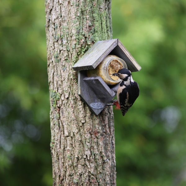 Erdnussbutterhaus aus altem Holz