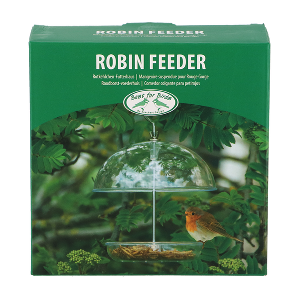 Acrylic robin bird feeder