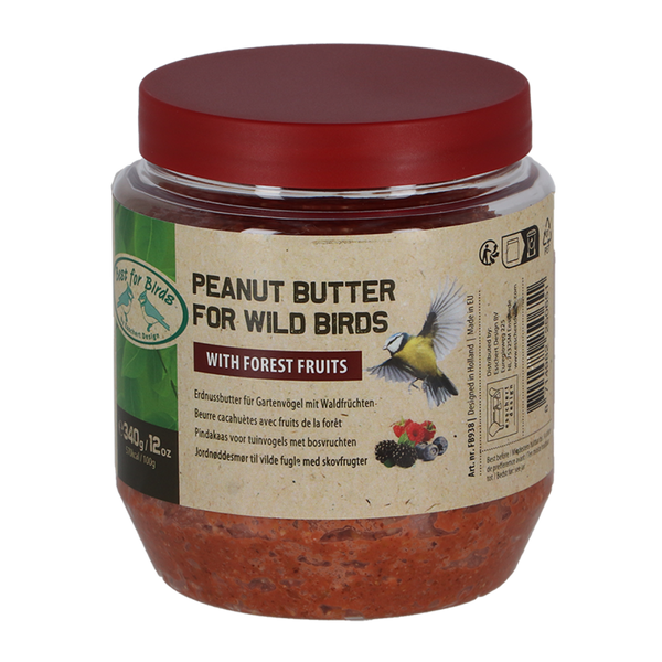 Bird peanut butter with forest fruits