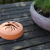 Citron. spirals terracotta