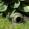 Snail trap