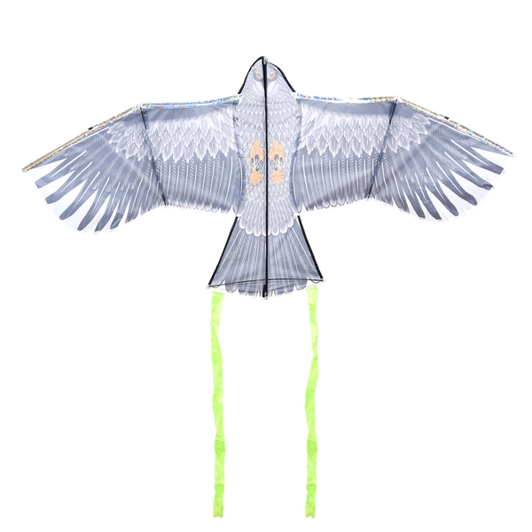 Anti-bird kite