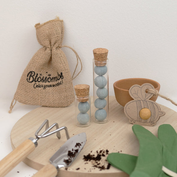 Grow Kit "Denk aan je" met Vergeet-me-niet Mix Zaadbommetje