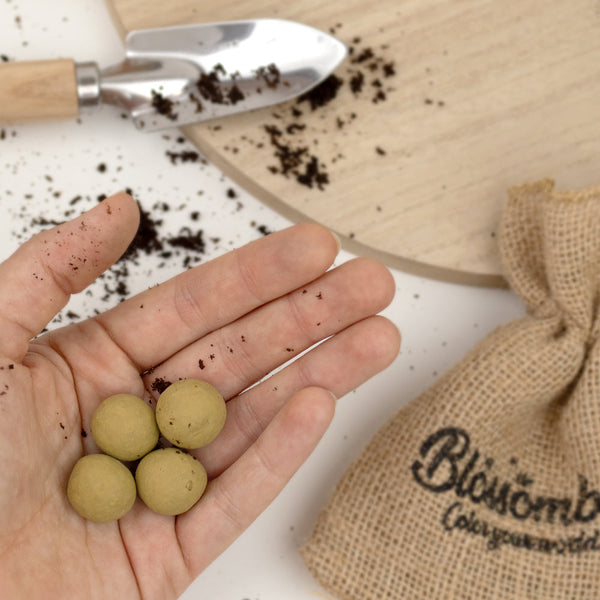 Gift Box Small "Bedankt" met 7 Tuin- en Keukenkruiden Mix Zaadbommetjes