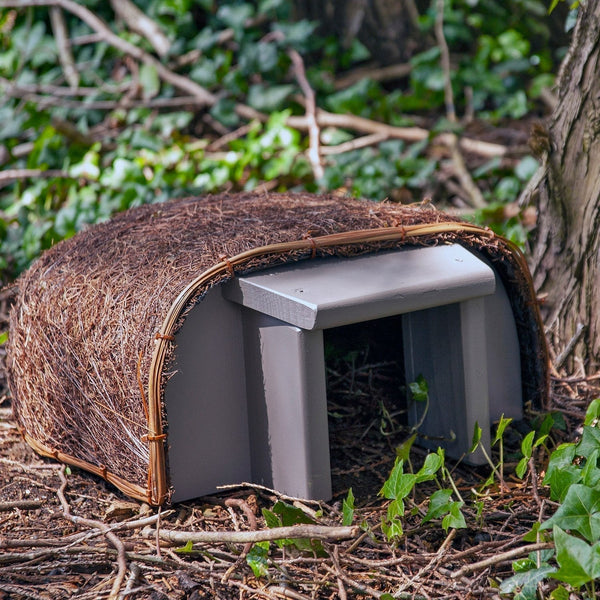 Timeless hedgehog house 