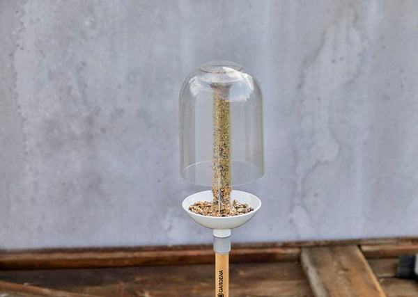 ClickUp! Bird Feeder